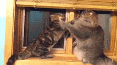 身材重要还是脸蛋重要,身材和脸蛋你会怎么选择 瘦脸 第18张-瘦瘦减肥网 身材重要还是脸蛋重要,身材和脸蛋你会怎么选择 瘦脸 第18张