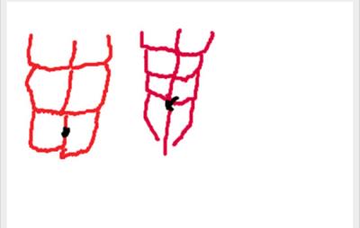 六块腹肌和八块腹肌的区别,又该怎么判断呢 减肚子 第1张-瘦瘦减肥网 六块腹肌和八块腹肌的区别,又该怎么判断呢 减肚子 第1张