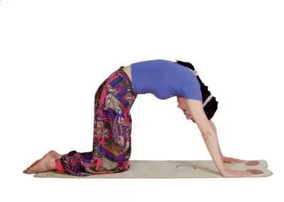 瑜伽减肥动作,瑜伽帮你轻松减掉肚子 瑜伽减肥 第2张-瘦瘦减肥网 瑜伽减肥动作,瑜伽帮你轻松减掉肚子 瑜伽减肥 第2张