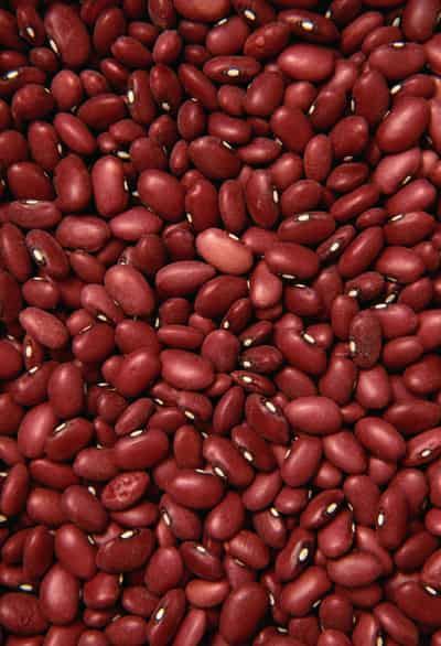 月瘦13斤大红豆减肥法，快速有效健康瘦身甩脂 减肥方法 第2张