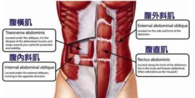 怎么练出八块腹肌,这几种方法教你练出来 减肚子 第1张-瘦瘦减肥网 怎么练出八块腹肌,这几种方法教你练出来 减肚子 第1张