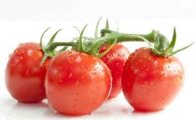 最快最有效减肥食谱大推荐,番茄豆浆组合健康饮食新时代 减肥食谱 第1张-瘦瘦减肥网 最快最有效减肥食谱大推荐,番茄豆浆组合健康饮食新时代 减肥食谱 第1张