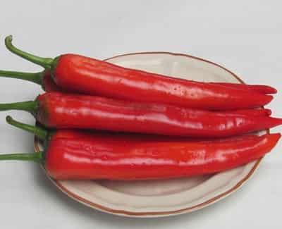 最有效的健康快速减肥食品有哪些你知道吗 快速减肥 第3张