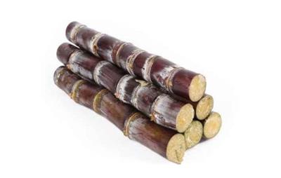 吃甘蔗会胖吗，高糖甘蔗减肥者应少吃 饮食减肥 第3张