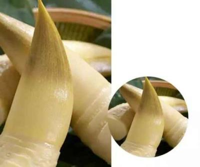 十种刮油食物越吃越瘦,你都吃过吗 饮食减肥 第8张-瘦瘦减肥网 十种刮油食物越吃越瘦,你都吃过吗 饮食减肥 第8张