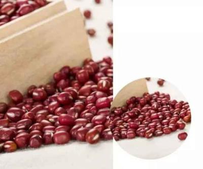 十种刮油食物越吃越瘦,你都吃过吗 饮食减肥 第5张-瘦瘦减肥网 十种刮油食物越吃越瘦,你都吃过吗 饮食减肥 第5张