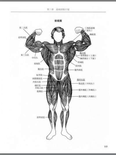 健身需要知道的事,一些专业术语你需知道 减肥 第3张-瘦瘦减肥网 健身需要知道的事,一些专业术语你需知道 减肥 第3张
