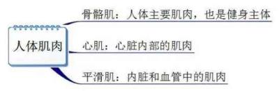 健身需要知道的事,一些专业术语你需知道 减肥 第1张-瘦瘦减肥网 健身需要知道的事,一些专业术语你需知道 减肥 第1张