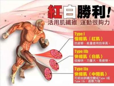 健身需要知道的事,一些专业术语你需知道 减肥 第7张-瘦瘦减肥网 健身需要知道的事,一些专业术语你需知道 减肥 第7张