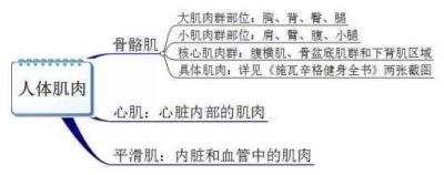 健身需要知道的事,一些专业术语你需知道 减肥 第5张-瘦瘦减肥网 健身需要知道的事,一些专业术语你需知道 减肥 第5张