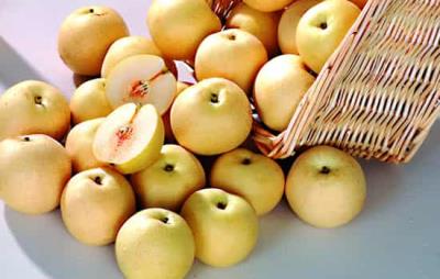 最适合懒人的减肥速成法,轻轻松松变成瘦美人 懒人减肥 第1张-瘦瘦减肥网 最适合懒人的减肥速成法,轻轻松松变成瘦美人 懒人减肥 第1张