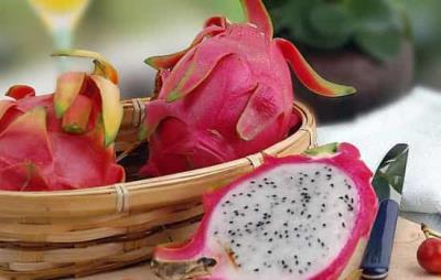 吃火龙果能减肥吗，夏季怎么吃火龙果减肥 饮食减肥 第3张