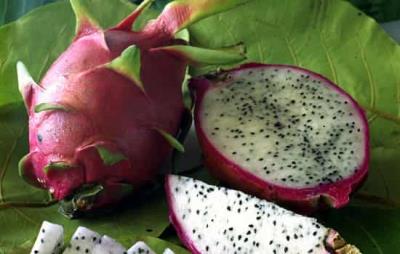 吃火龙果能减肥吗，夏季怎么吃火龙果减肥 饮食减肥 第10张