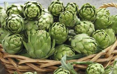 排毒减肥喝什么茶最好，春日不可错过的8款排毒清肠茶饮 减肥饮品 第7张