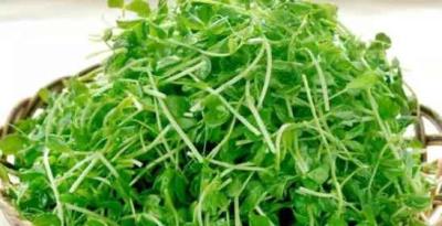 女性瘦脸吃什么好,女性瘦脸多吃这5类食物 瘦脸 第4张-瘦瘦减肥网 女性瘦脸吃什么好,女性瘦脸多吃这5类食物 瘦脸 第4张