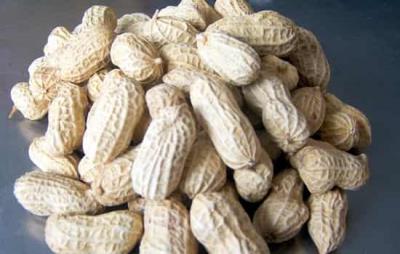 多吃花生能减肥吗 饮食减肥 第1张-瘦瘦减肥网 多吃花生能减肥吗 饮食减肥 第1张