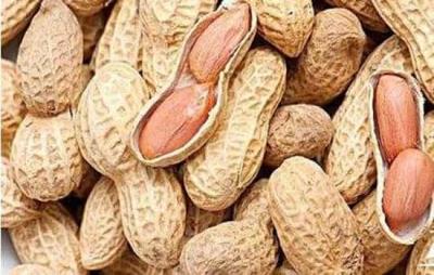 多吃花生能减肥吗 饮食减肥 第4张-瘦瘦减肥网 多吃花生能减肥吗 饮食减肥 第4张