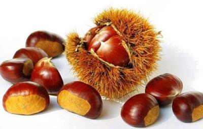 吃板栗会胖吗,减肥者需严格控制吃板栗的量 饮食减肥 第5张-瘦瘦减肥网 吃板栗会胖吗,减肥者需严格控制吃板栗的量 饮食减肥 第5张