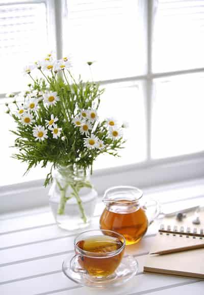 老中医减肥刮油减肥茶，自制健康科学美味不反弹 减肥饮品 第4张