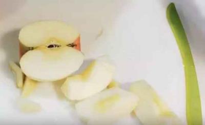 怎么吃洋葱减肥 饮食减肥 第4张-瘦瘦减肥网 怎么吃洋葱减肥 饮食减肥 第4张