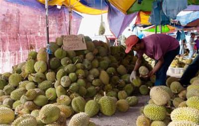 减肥食物有哪些水果蔬菜，错吃蔬果长胖 饮食减肥 第3张