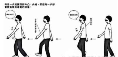 日本医生发明走路减肥法,亲测3个月减20斤 减肥方法 第3张-瘦瘦减肥网 日本医生发明走路减肥法,亲测3个月减20斤 减肥方法 第3张