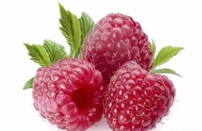 减肥低脂肪的食物,吃这些再也不用担心发胖 饮食减肥 第3张-瘦瘦减肥网 减肥低脂肪的食物,吃这些再也不用担心发胖 饮食减肥 第3张