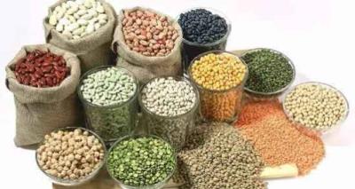 减肥低脂肪的食物,吃这些再也不用担心发胖 饮食减肥 第8张-瘦瘦减肥网 减肥低脂肪的食物,吃这些再也不用担心发胖 饮食减肥 第8张