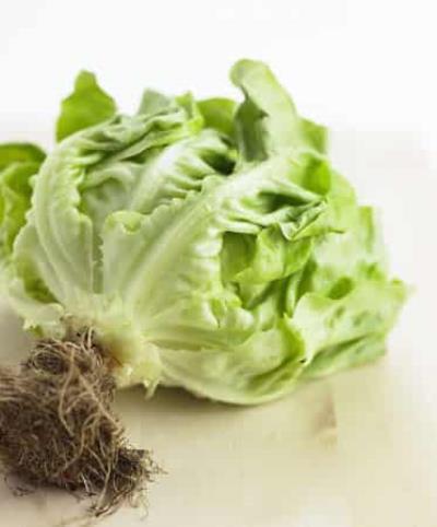 不节食减肥最快的秘诀,低卡高纤减肥法一周减5斤 节食减肥 第5张-瘦瘦减肥网 不节食减肥最快的秘诀,低卡高纤减肥法一周减5斤 节食减肥 第5张