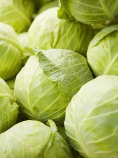 不节食减肥最快的秘诀,低卡高纤减肥法一周减5斤 节食减肥 第6张-瘦瘦减肥网 不节食减肥最快的秘诀,低卡高纤减肥法一周减5斤 节食减肥 第6张