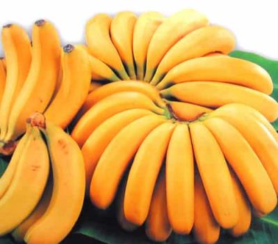 饮料可乐热量高吗,热量卡路里表为你详细解答 减肥 第10张-瘦瘦减肥网 饮料可乐热量高吗,热量卡路里表为你详细解答 减肥 第10张