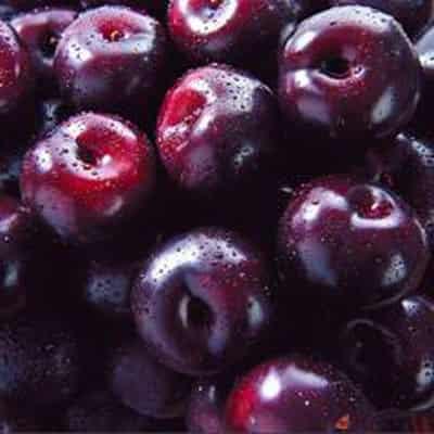 懒人快速李子减肥法,月瘦十斤不在是梦 懒人减肥 第5张-瘦瘦减肥网 懒人快速李子减肥法,月瘦十斤不在是梦 懒人减肥 第5张