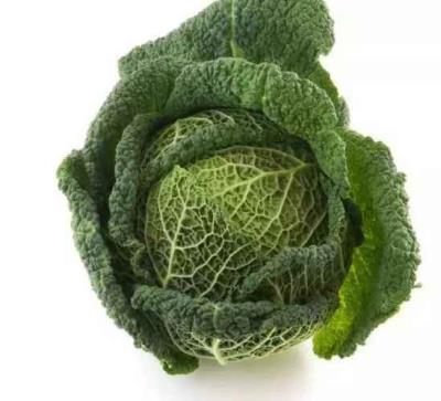 减肥的八大饮食误区 减肥误区 第1张-瘦瘦减肥网 减肥的八大饮食误区 减肥误区 第1张