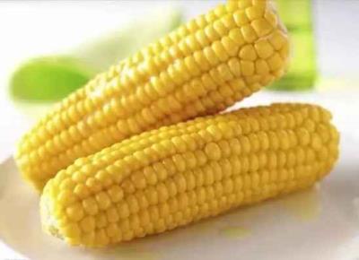 玉米减肥食谱,玉米这样吃轻松瘦肚子 减肥食谱 第1张-瘦瘦减肥网 玉米减肥食谱,玉米这样吃轻松瘦肚子 减肥食谱 第1张