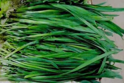 减肥吃什么食物好，这八种越吃越瘦 饮食减肥 第5张