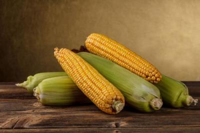 玉米减肥食谱,玉米这样吃轻松瘦肚子 减肥食谱 第4张-瘦瘦减肥网 玉米减肥食谱,玉米这样吃轻松瘦肚子 减肥食谱 第4张