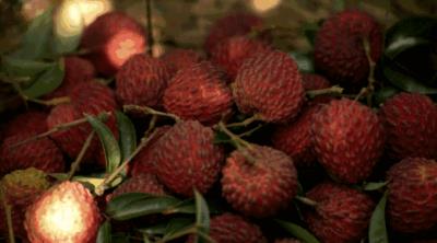 热量高的水果，减肥人士切勿多吃这些水果 饮食减肥 第4张