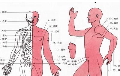 针灸减肥的弊端,中医的减肥妙方危害有哪些 针灸减肥 第1张-瘦瘦减肥网 针灸减肥的弊端,中医的减肥妙方危害有哪些 针灸减肥 第1张