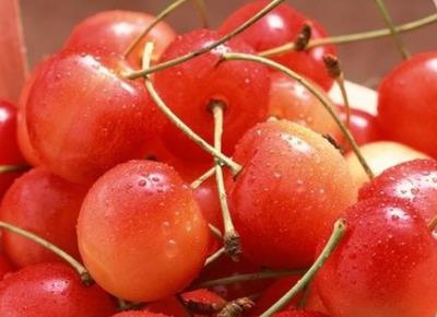 秋季应该吃什么水果好，养生减肥两不误 饮食减肥 第6张