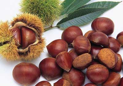 秋季应该吃什么水果好，养生减肥两不误 饮食减肥 第4张