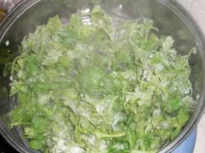 蒸芹菜叶的做法，一道减肥排毒的家常菜 减肥 第4张