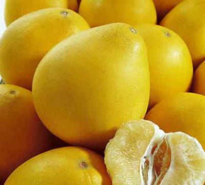 金秋十月吃什么减肥最快,越吃越瘦的八种食物 饮食减肥 第1张-瘦瘦减肥网 金秋十月吃什么减肥最快,越吃越瘦的八种食物 饮食减肥 第1张