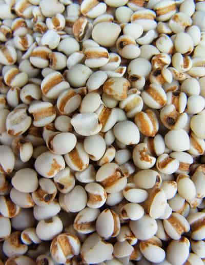 晚餐吃什么减肥最快，饮食减肥的小秘诀 饮食减肥 第1张