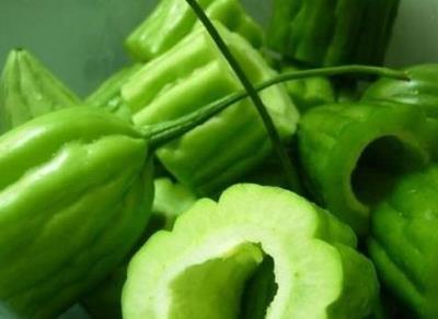 苦瓜减肥有效果吗,自制苦瓜汁安全又放心 减肥 第1张-瘦瘦减肥网 苦瓜减肥有效果吗,自制苦瓜汁安全又放心 减肥 第1张