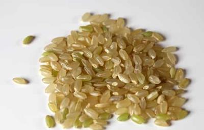 晚餐吃什么减肥最快，饮食减肥的小秘诀 饮食减肥 第3张