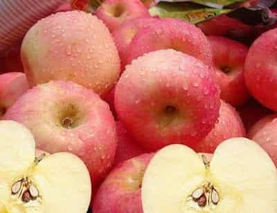 春季一周水果减肥食谱,营养美味健康又甩脂 减肥食谱 第3张-瘦瘦减肥网 春季一周水果减肥食谱,营养美味健康又甩脂 减肥食谱 第3张