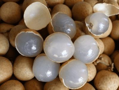 吃龙眼会胖吗,龙眼一天吃多少合适 饮食减肥 第2张-瘦瘦减肥网 吃龙眼会胖吗,龙眼一天吃多少合适 饮食减肥 第2张