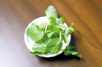 薄荷叶怎么减肥，来一把薄荷燃脂去火气 减肥 第1张