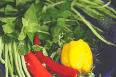 快速减肥法，几个小方法让你快速减肥 快速减肥 第7张