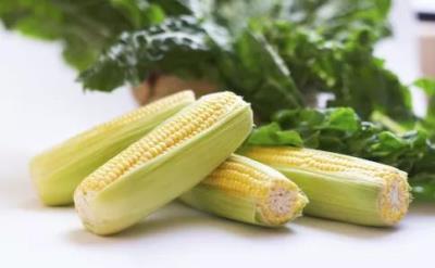 早餐怎么吃可以减肥,你得讲究这三点原则 饮食减肥 第3张-瘦瘦减肥网 早餐怎么吃可以减肥,你得讲究这三点原则 饮食减肥 第3张